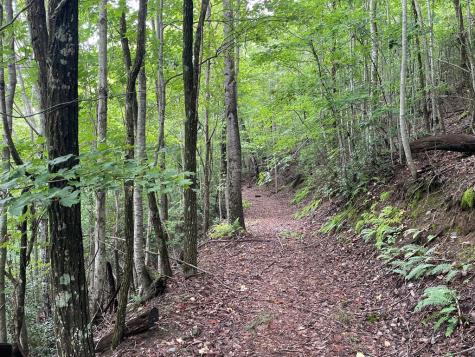 12, 13a Brasstown Heights Lane Brasstown NC 28902