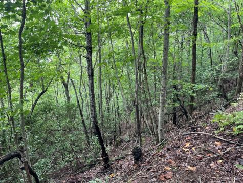 12, 13a Brasstown Heights Lane Brasstown NC 28902