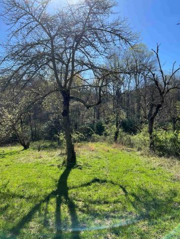 4.90 Wayah Road (HWY 1310) Nantahala NC 28781