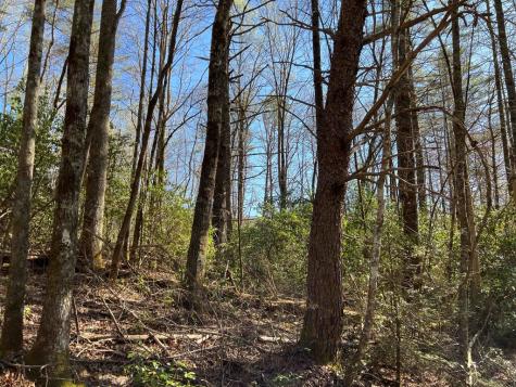 4.90 Wayah Road (HWY 1310) Nantahala NC 28781