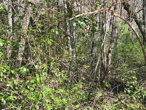 4.90 Wayah Road (HWY 1310) Nantahala NC 28781