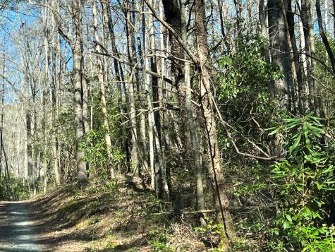 4.90 Wayah Road (HWY 1310) Nantahala NC 28781