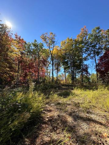 24 Cahill Drive Andrews NC 28901