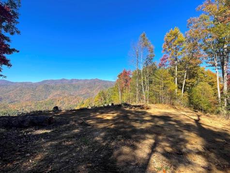 24 Cahill Drive Andrews NC 28901