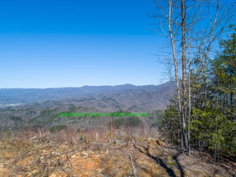 24 Cahill Drive Andrews NC 28901