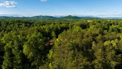 Tr 1&2 W Gum Log Road Warne NC 28909
