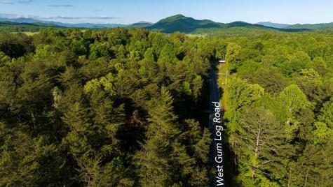 Tr 1&2 W Gum Log Road Warne NC 28909