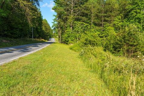 Tr 1&2 W Gum Log Road Warne NC 28909