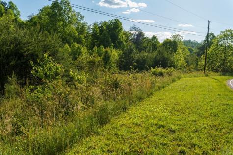 Tr 1&2 W Gum Log Road Warne NC 28909