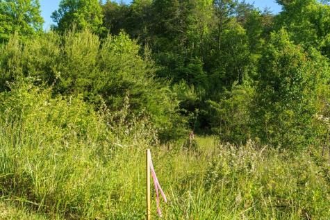 Tr 1&2 W Gum Log Road Warne NC 28909