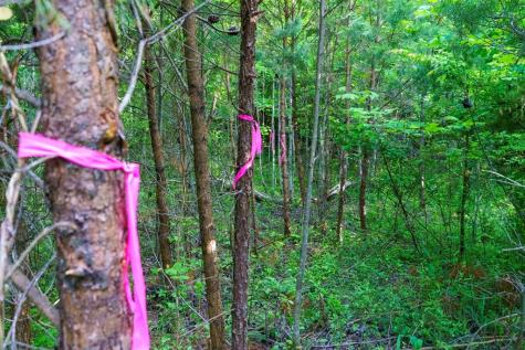Tr 1&2 W Gum Log Road Warne NC 28909