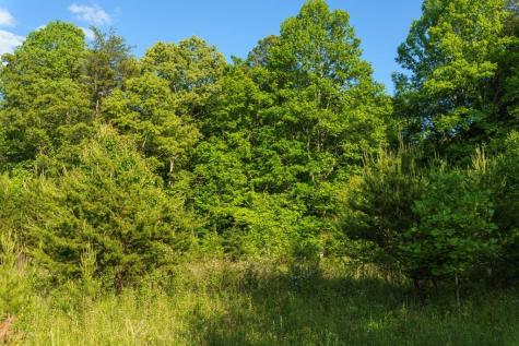 Tr 1&2 W Gum Log Road Warne NC 28909