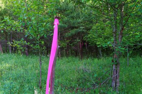 Tr 1&2 W Gum Log Road Warne NC 28909