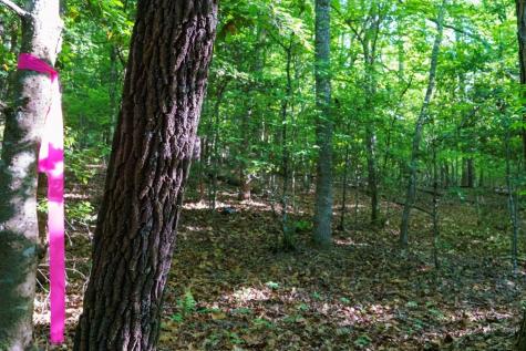 Tr 1&2 W Gum Log Road Warne NC 28909