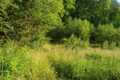 Tr 1&2 W Gum Log Road Warne NC 28909