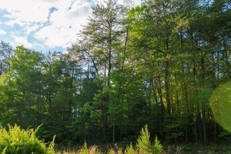 TR 1&2 W Gum Log Road Warne NC 28909