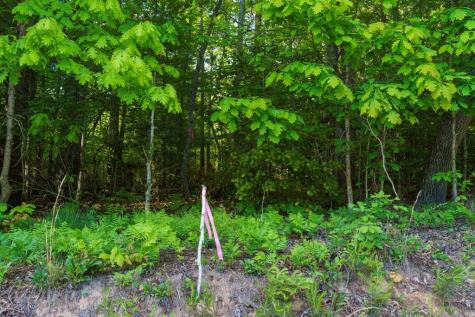 Tr 1&2 W Gum Log Road Warne NC 28909
