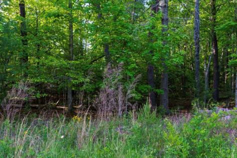 Tr 1&2 W Gum Log Road Warne NC 28909