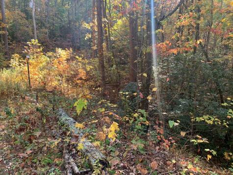 1933B Ford Road Warne NC 28909