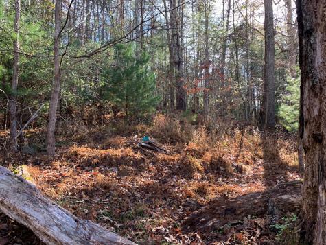 1933B Ford Road Warne NC 28909