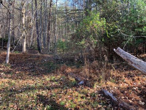 1933B Ford Road Warne NC 28909