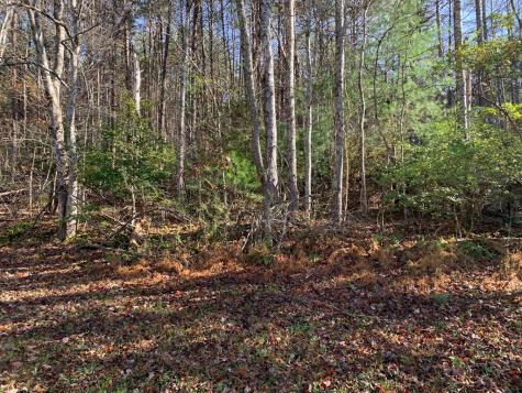 1933B Ford Road Warne NC 28909