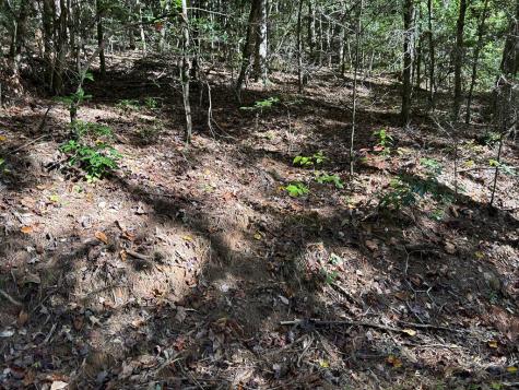 Lot 6 Beaverdam Loop Murphy NC 28906