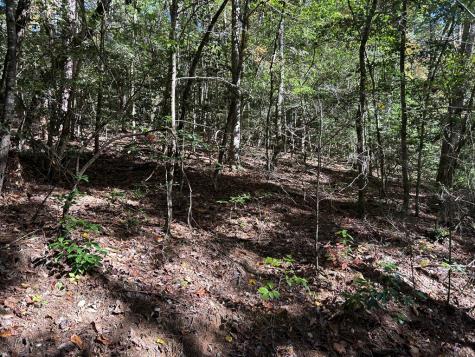 Lot 6 Beaverdam Loop Murphy NC 28906