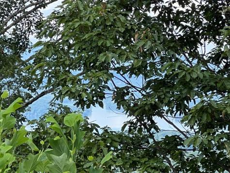 Lot 73m Ridges Overlook Hayesville NC 28904