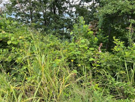 Lot 73m Ridges Overlook Hayesville NC 28904