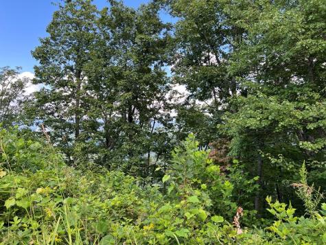 Lot 73m Ridges Overlook Hayesville NC 28904