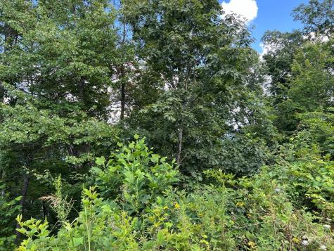 Lot 73m Ridges Overlook Hayesville NC 28904