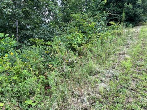 Lot 73m Ridges Overlook Hayesville NC 28904