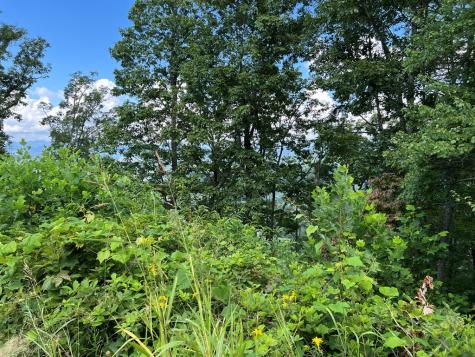 Lot 73m Ridges Overlook Hayesville NC 28904