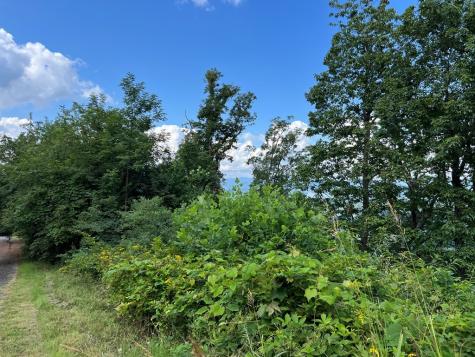 Lot 73m Ridges Overlook Hayesville NC 28904