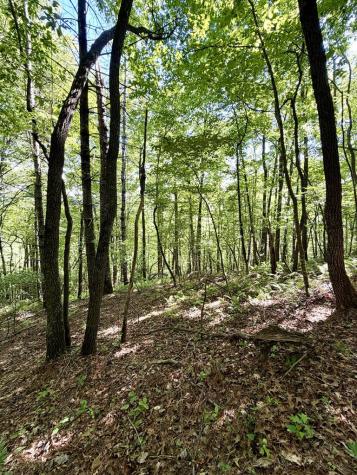 675 Ed Graves Road Murphy NC 28906