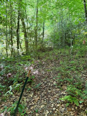 675 Ed Graves Road Murphy NC 28906