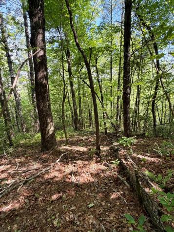675 Ed Graves Road Murphy NC 28906