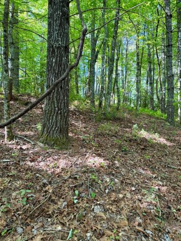 675 Ed Graves Road Murphy NC 28906