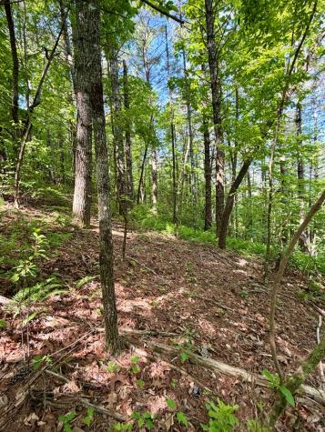 675 Ed Graves Road Murphy NC 28906