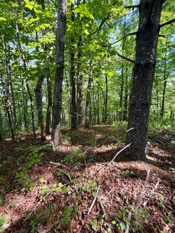 675 Ed Graves Road Murphy NC 28906