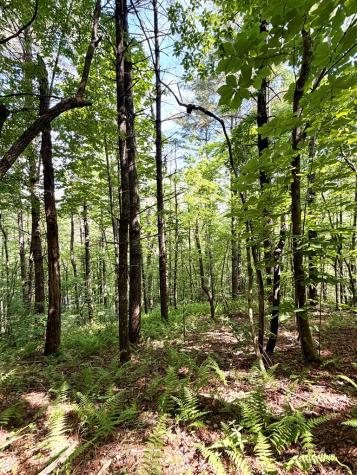 675 Ed Graves Road Murphy NC 28906