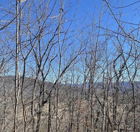 60 & 61j Mountain Harbour Hayesville NC 28904