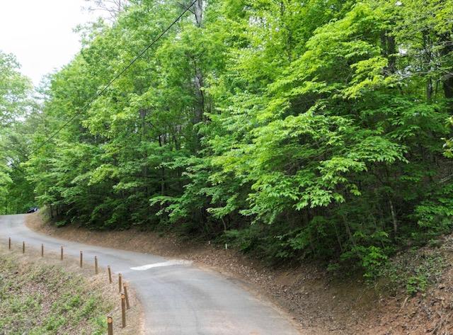 00 Dogwood Trail Robbinsville NC 28771
