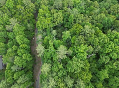 00 Dogwood Trail Robbinsville NC 28771