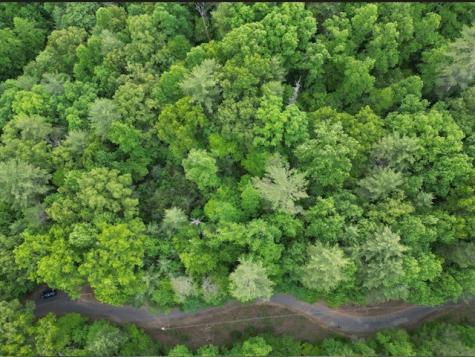 00 Dogwood Trail Robbinsville NC 28771