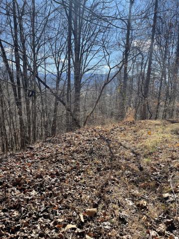 Lot 37c Ash Branch Circle Hayesville NC 28904