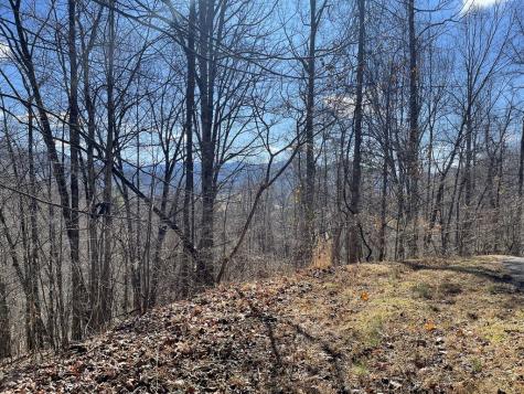 Lot 37c Ash Branch Circle Hayesville NC 28904