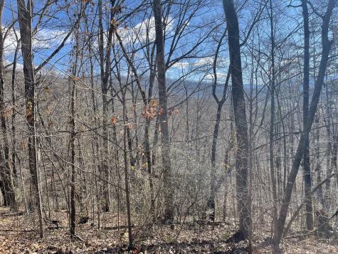 Lot 37c Ash Branch Circle Hayesville NC 28904