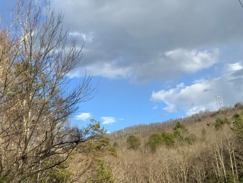 Lot 10 Ivy Log Road Murphy NC 28906